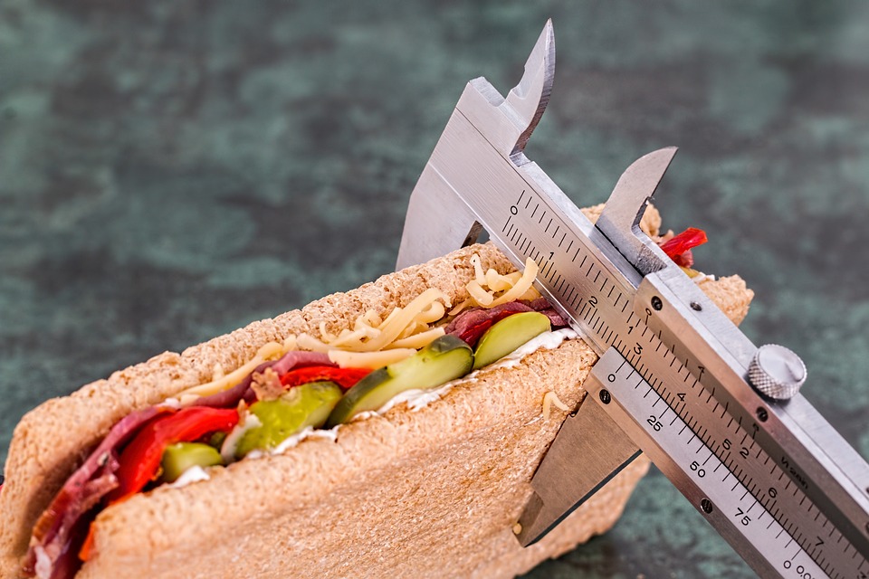 weight loss calculator